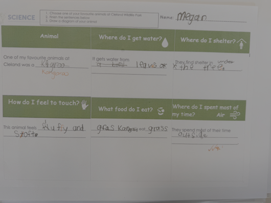 Picture11